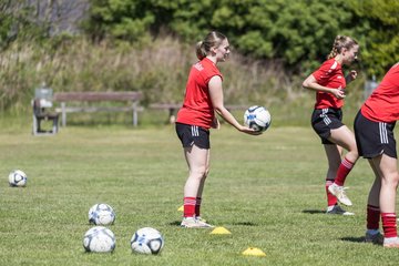 Bild 38 - F SG NieBar - IF Stjernen Flensborg : Ergebnis: 2:0
